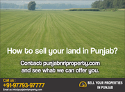 Sell Properties,  Plot,  Land,  Houses from Abroad - Punjab NRI property